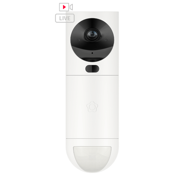 Videodetector